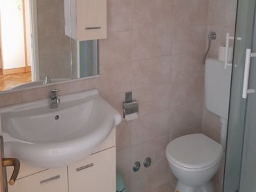 private bathroom, shower